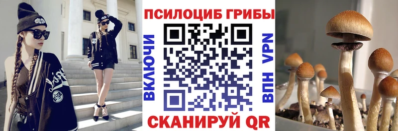 наркотики  Зерноград  Псилоцибиновые грибы MAGIC MUSHROOMS 